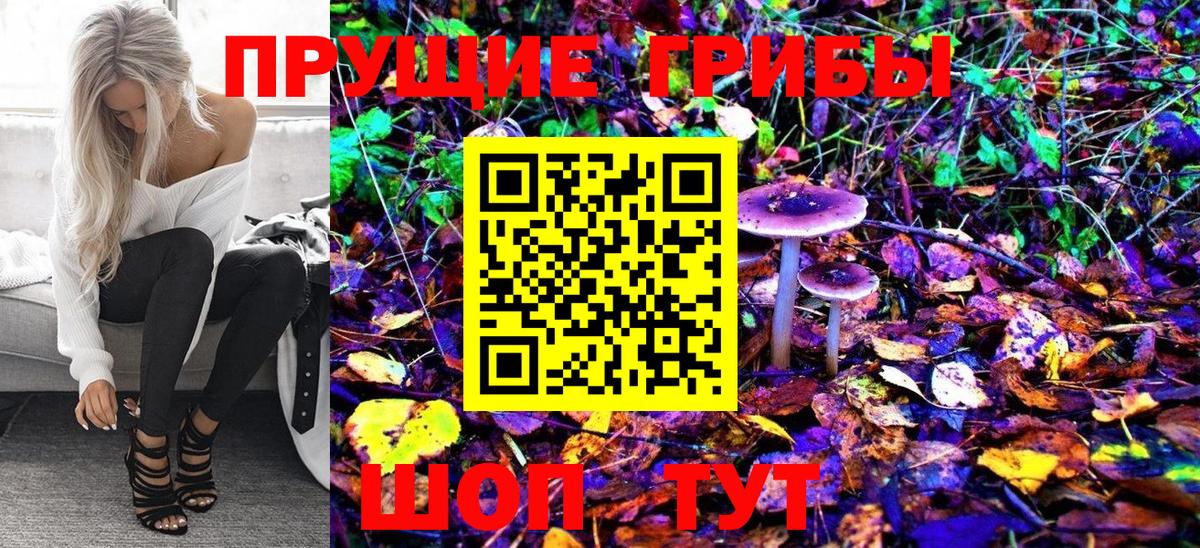 Псилоцибиновые грибы GOLDEN TEACHER  Вход с VPN  Гуково 