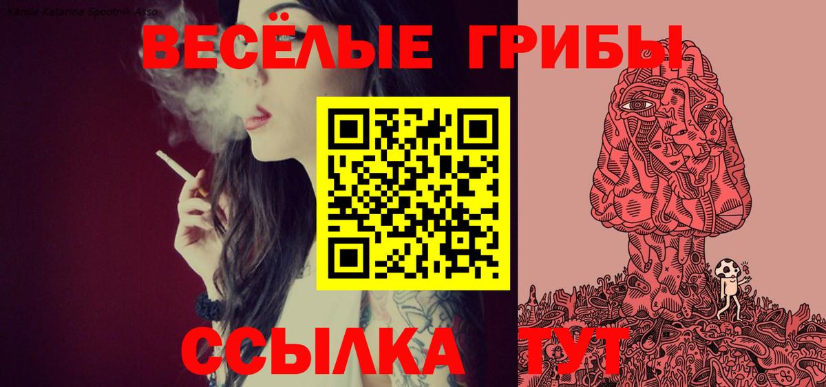 Галлюциногенные грибы Psilocybe Гуково